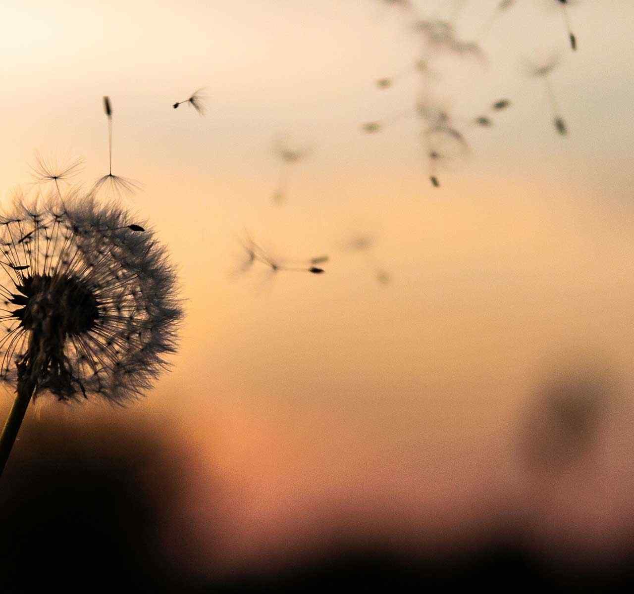 https://www.mattiolistudiolegale.com/wp-content/uploads/2018/09/post_02-1280x1200.jpg