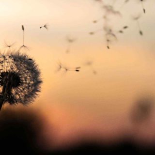 https://www.mattiolistudiolegale.com/wp-content/uploads/2018/09/post_02-320x320.jpg