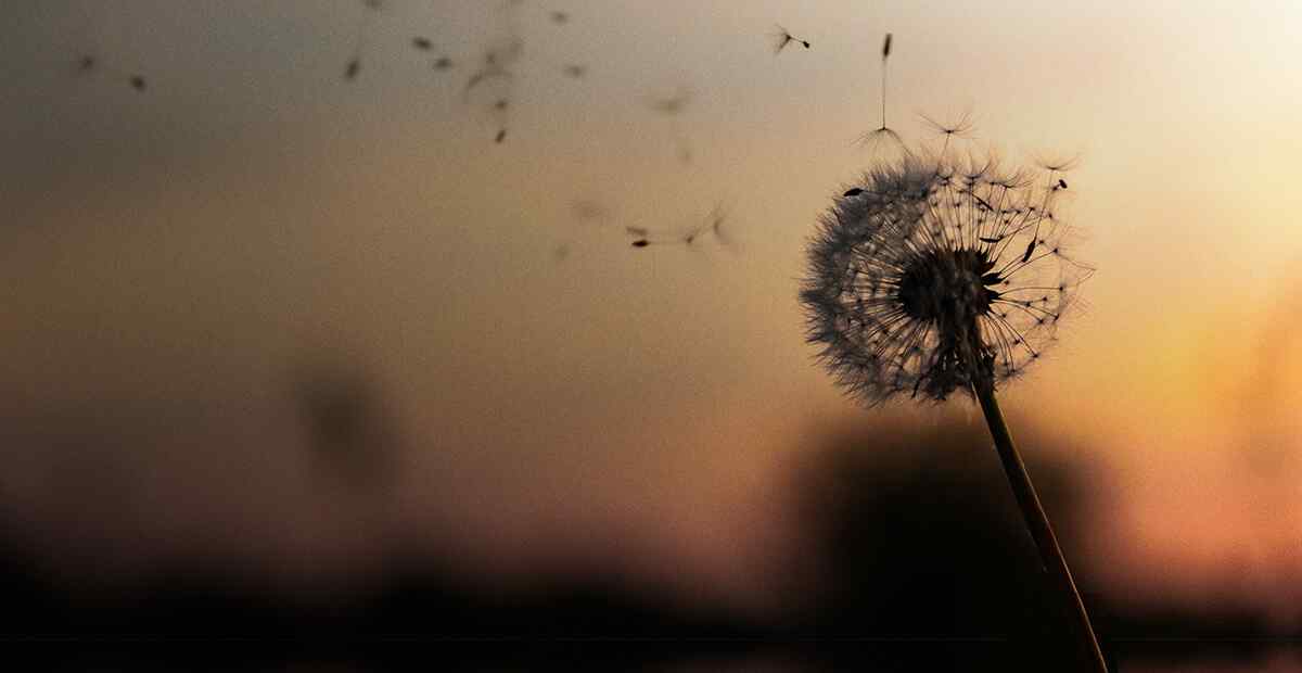 DIRITTO DELL'ENERGIA E DELLE FONTI RINNOVABILI